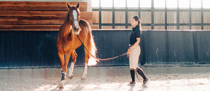  Pferd mit Frau 1700x740